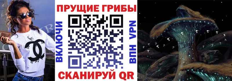 наркота  Белая Калитва  Псилоцибиновые грибы Cubensis 